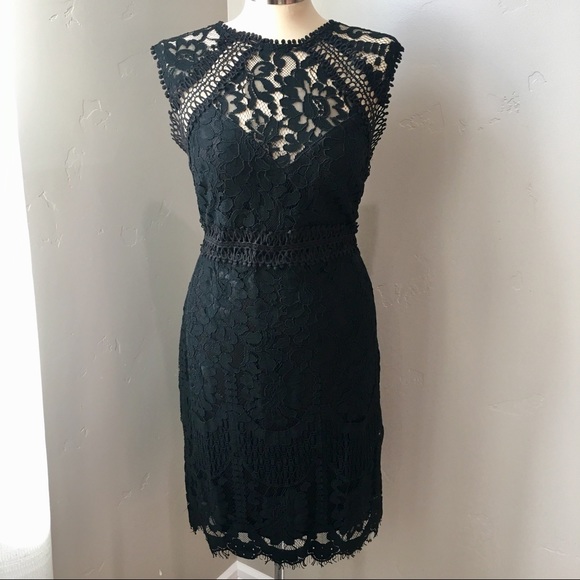 One left! Black Lace Detail Dress - Picture 6 of 8